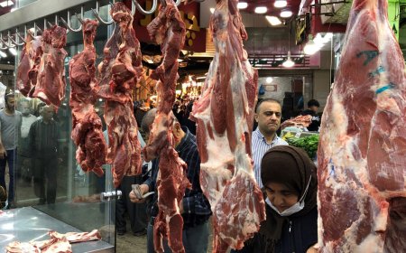 له‌ سلێمانی ڕێگری لە بەرزبوونەوەی زیاتری نرخی گۆشت دەکرێت