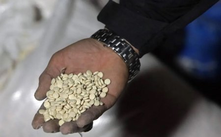 سوپای عێراق لە پارێزگایه‌كی سوریا دەستی بەسەر سەدان هەزار حەبی هۆشبەردا گرت