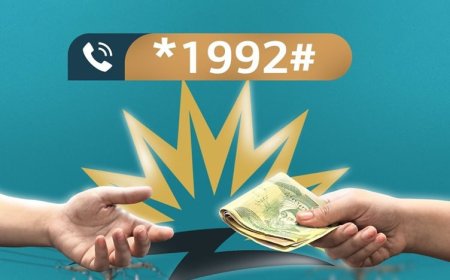 هێرشێکی گەورەی ئەلیکترۆنی بۆسه‌ر پۆرتاڵی رووناكی پوچەڵکرایەوە