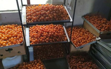 لە چەمچەماڵ دەستبەسەر 50 کارتۆن شیرینی ماوەبەسەرچوودا گیرا
