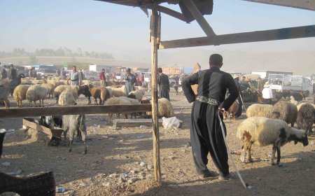 له‌ بازاڕه‌كانی هه‌رێمی كوردستان نرخی ئاژه‌ڵ به‌رزبووه‌ته‌وه