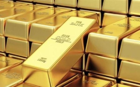 لە سنوری نێوان هەڵەبجە و پاوە 15 کیلۆ زێڕ دەستی بەسەردا گیرا