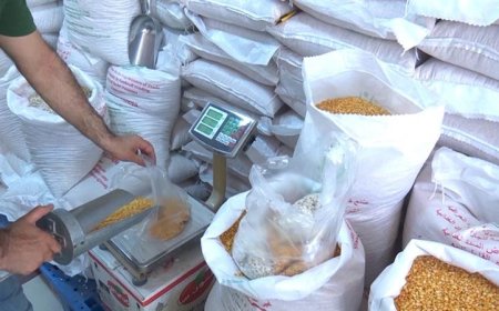 دڵنیایی له‌ شیاوی به‌كارهێنانی به‌شه‌خۆراكی هاووڵاتیان ده‌درێت