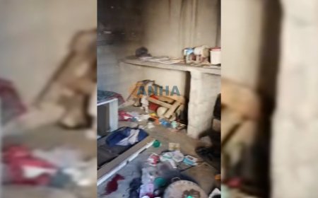 چەکدارانی سەر بە دیمەشق ماڵی هاوڵاتییانی کۆبانێ تاڵان دەکەن