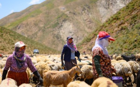 هێزە ئەمنییەکانی ئێران داوای کۆچی زۆرەملێ لە کۆچەرییەکانی کرماشان دەکات