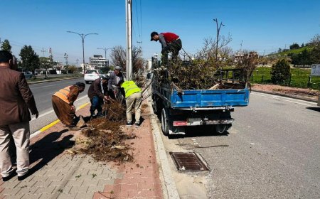 لە ڕۆژی ژینگەی کوردستاندا چەند چالاکییەکی ژینگەی بەڕێوەدەچێت 