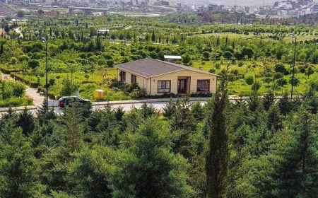ڕێژەی سەوزایی لە هەرێم نەگەیشتوەتە ڕێژەی ستانداردی جیهانی