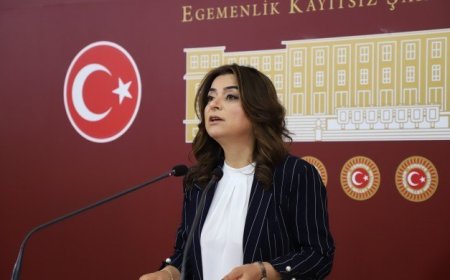 گوڵستان کۆچیغیت: حکومەت پرۆسەی هەموارکردنەوەی یاسا دوادەخات