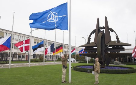 Lûtkeya NATO wê îro li Hollandayê dest pê bike