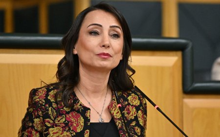‘Bila Meclîs ji bo çareseriya pirsgirêkan bixebite’