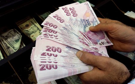 Lîreyê Tirkiyê li beramber Dolar dihele