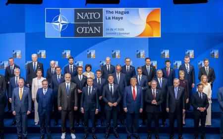 Encamnameya Lutkeya NATO`yê hat eşkerekirin
