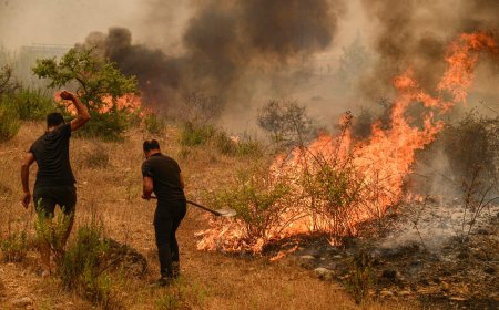 Li Tirkiyê di 48 seatan de 113 şewat derketin