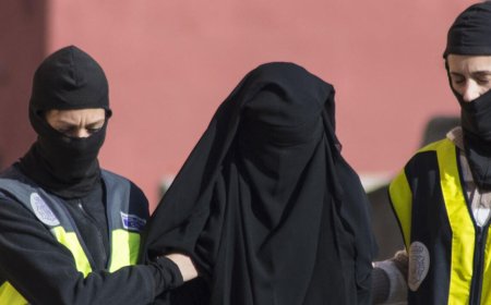 JINA FIRANSÎ SONIA JI BER SÛCÊN DIJMIROVÎ WÊ BÊ DARIZANDIN