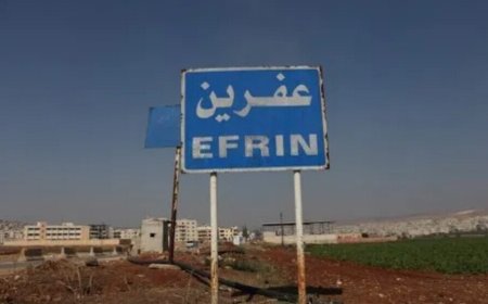 LI EFRÎNÊ RÊJEYA ZÊDE DÎSA KURD IN