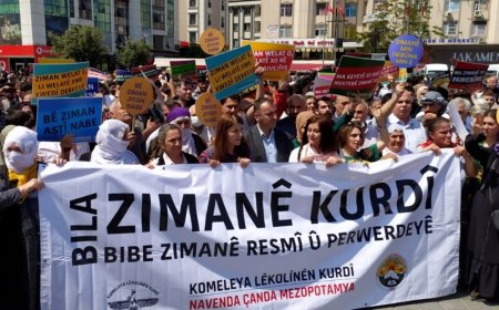 DEM Partî hewl dide Zimanê Kurdî bibe fermî