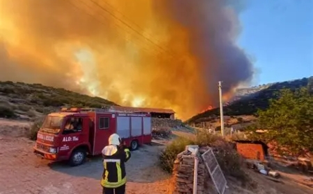 Li çend navçeyên Tirkiyeyê agir bi daristanan ket