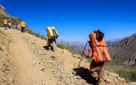 Kolberek Kurd ji aliyê hêzên Îranê ve hat kuştin