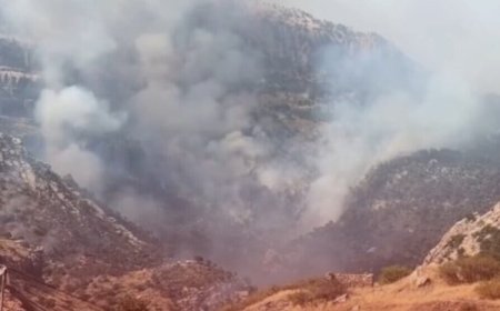 HPG: Li ser herêmên parastinê 379 êrîş hatin kirin