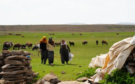 Jiyana koçeriyê her ku diçe zehmet dibe