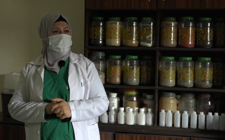 Li Hesekê navenda Arî ji sala 2019 an de ava bûye