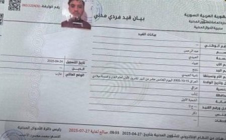 Derket holê ku HTŞê nasnameya fermî daye Daiş`ê