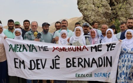 Li Şirnexê li dijî talana daristanan pêngavek hate destpêkirin