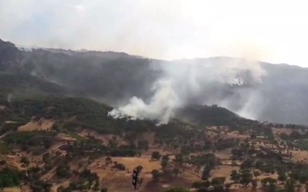 PJAK: Parêzvanên xwezayê ne bi tenê ne