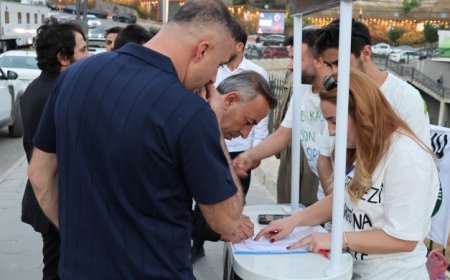 Li Şirnexê kampanya li dijî darbirînê dest pê kir