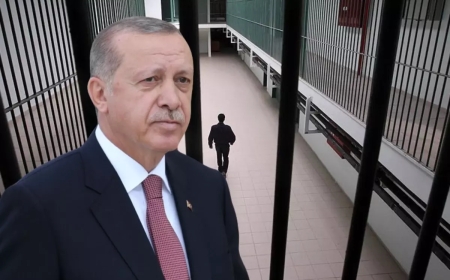 Erdogan biryarnameya efûkirirna 12 girtiyên adlî îmze kir