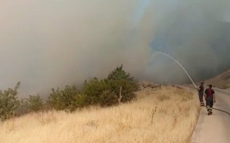 Li gundekî Şirnexê agir bi daristanekê ket