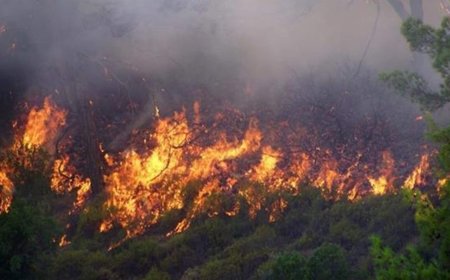Di şewata Fransayê de kesekî jiyana xwe ji dast da
