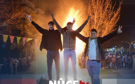 Li navçe û taxên Amedê Newroz tê pîrozkirin