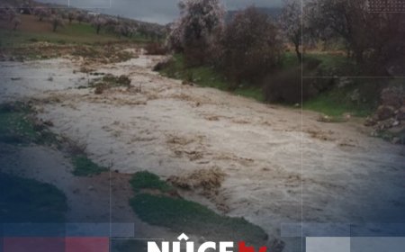 Li Mêrdînê ava rûbaran rabû û gelek mal di bin avê de man