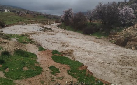 Li Mêrdînê xanî û zeviyên çandiniyê di bin avê de man