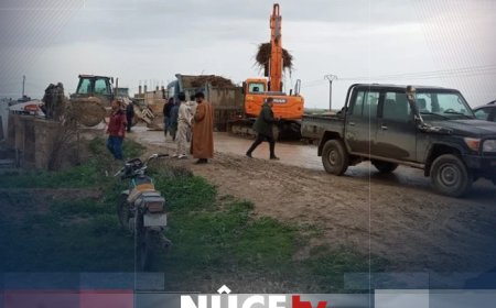 Şaredariya Til Temirê rêgarên çemê Zirganê paqij kirin