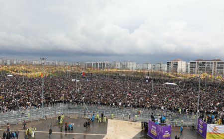 Bi rihê demokrasiyê Newroza Bakur û Tirkiyê hat pîrozkirin