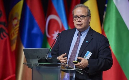 FAO: Eger şer bi dawî nebe wê qeyrana xurek û enerjiyê derkeve