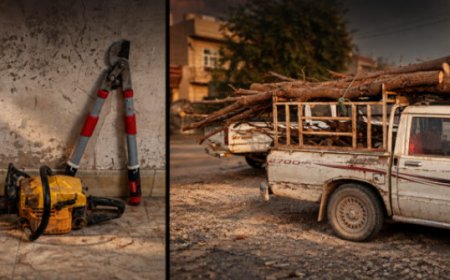 Li Germiyanê du kes ji ber birîna daran hatin binçavkirin